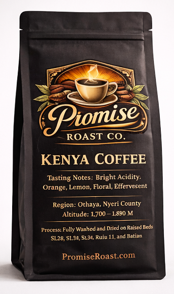 Black coffee bag with 'Promise Roast Co.' branding on a white background