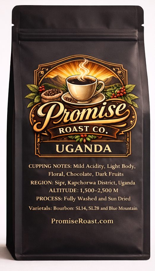 Coffee bag from Promise Roast Co. with branding and product details on a white background